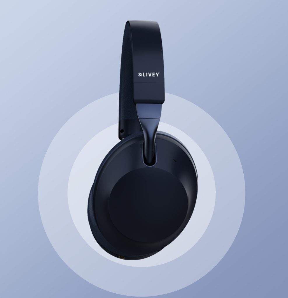910BT Wireless Headset