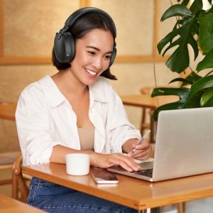 LIVEY 950BT Series Wireless Headset Comprensieve Guide